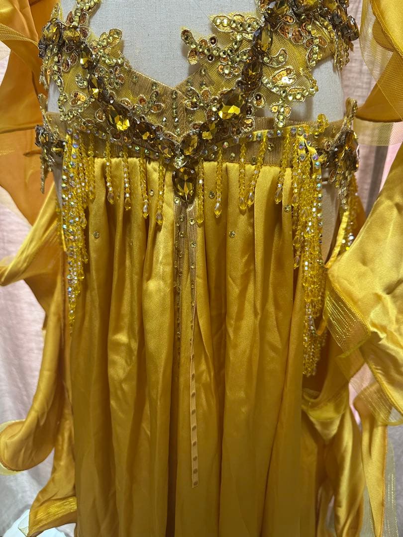 <春節祭>波　オーダー豪華衣装　新品　ベリーダンス　4点セット