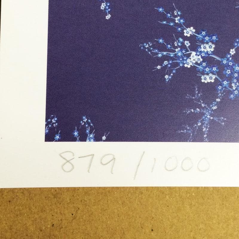 Bjork/ビョーク/Homogenic 1997年/限定1000枚/ポスター