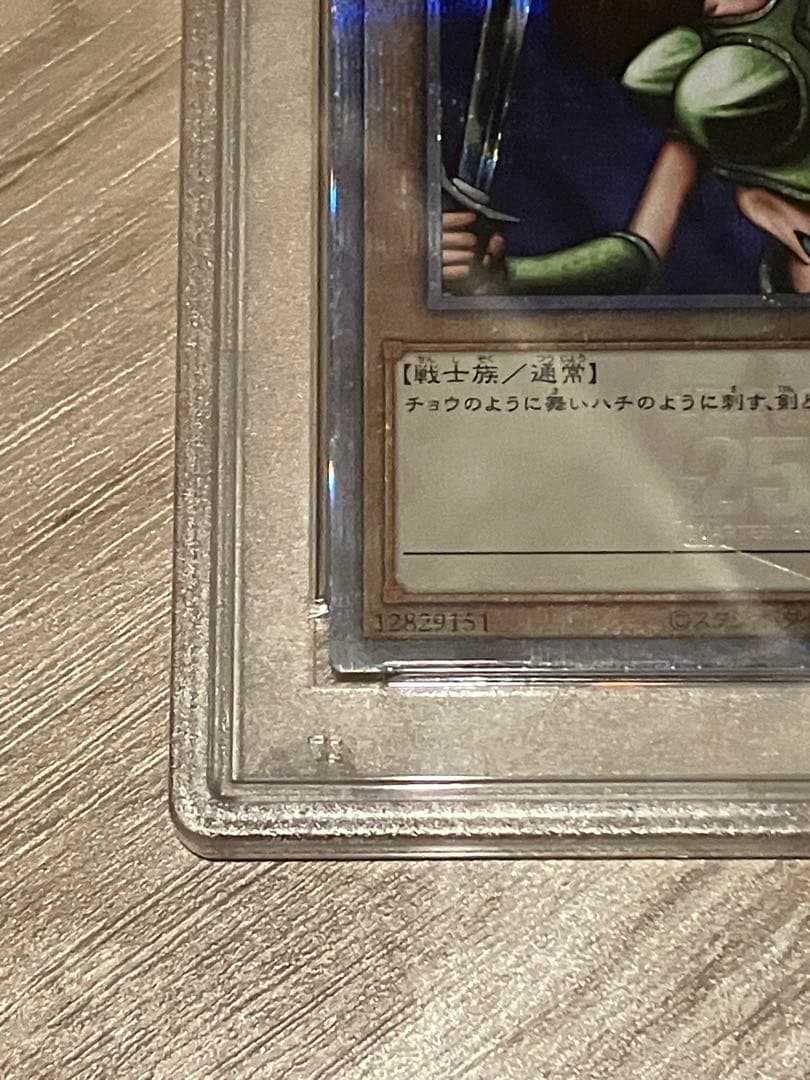 女剣士カナン 25th プリシク psa10