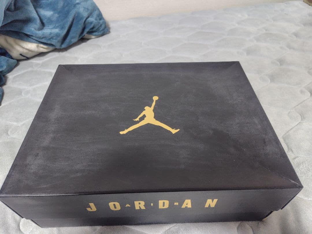 希少！Air Jordan 9 PINNACLE 27.5cm