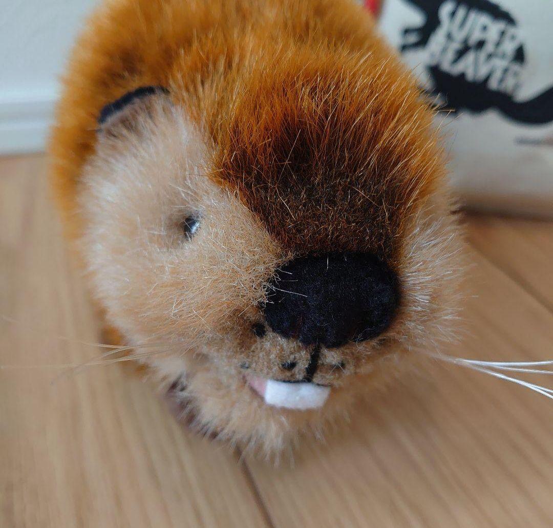 スーパービーバーちゃん SUPER BEAVER ぬいぐるみ 吉徳