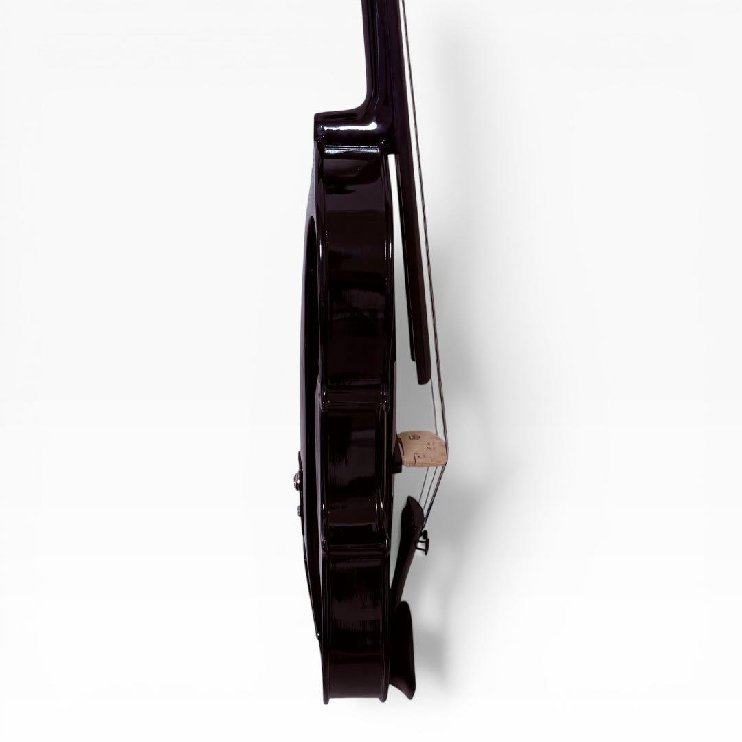 【美品】Carlo giordano EV-202 エレキバイオリン