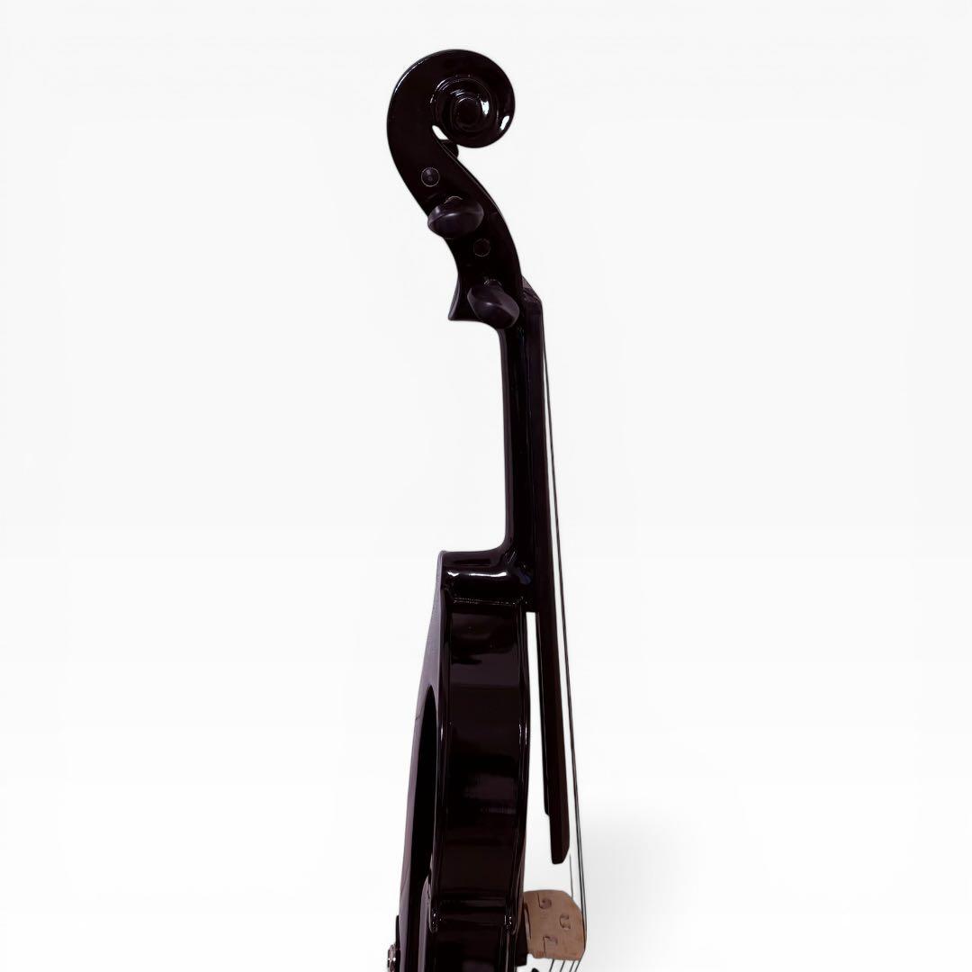 【美品】Carlo giordano EV-202 エレキバイオリン