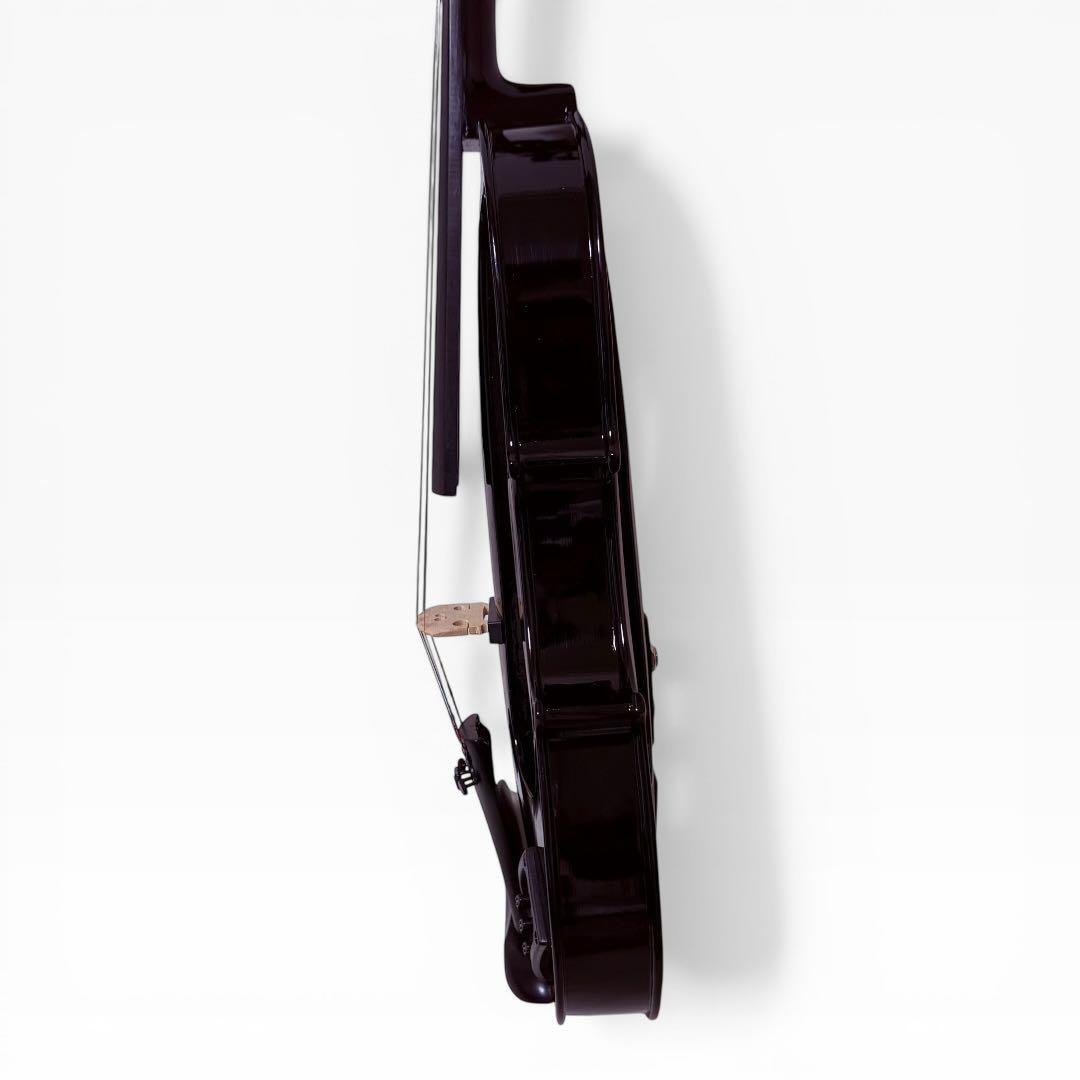 【美品】Carlo giordano EV-202 エレキバイオリン