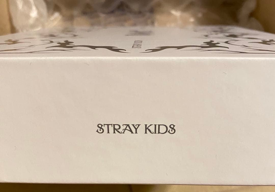 Stray Kids EVIL SKZOO SPEAKER パピーム スンミン