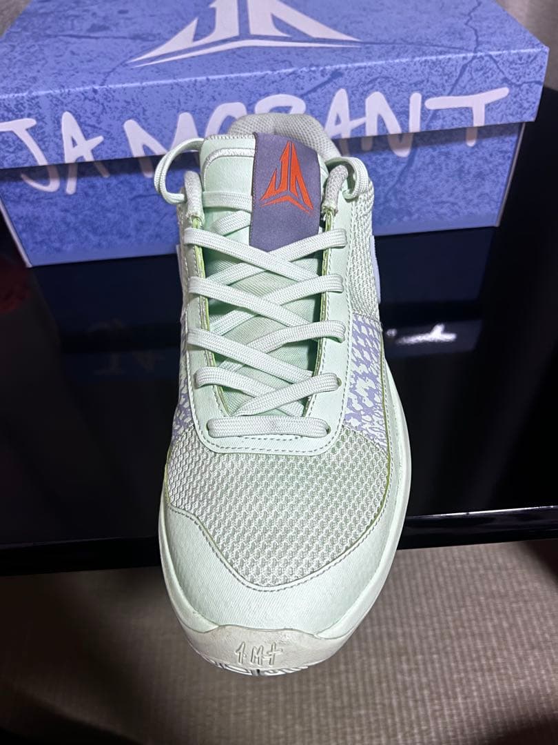 シューズ(男性用) NIKE JA1 EP FV1288-800