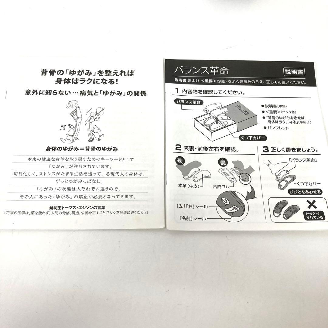 393-Y バランス革命 くつ下カバー ブラック