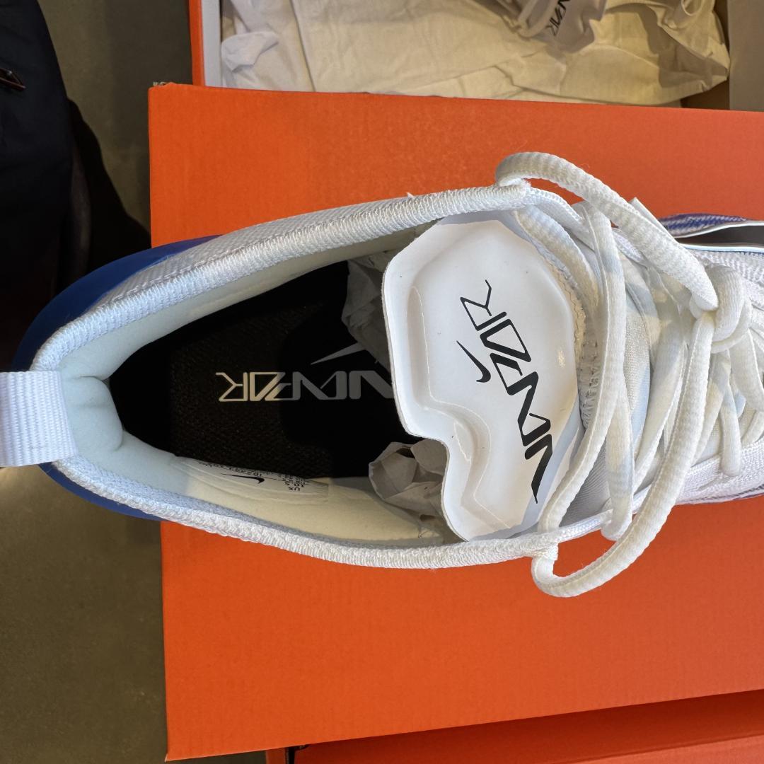 NIKE アルファメナス4 スパイク 白青 10