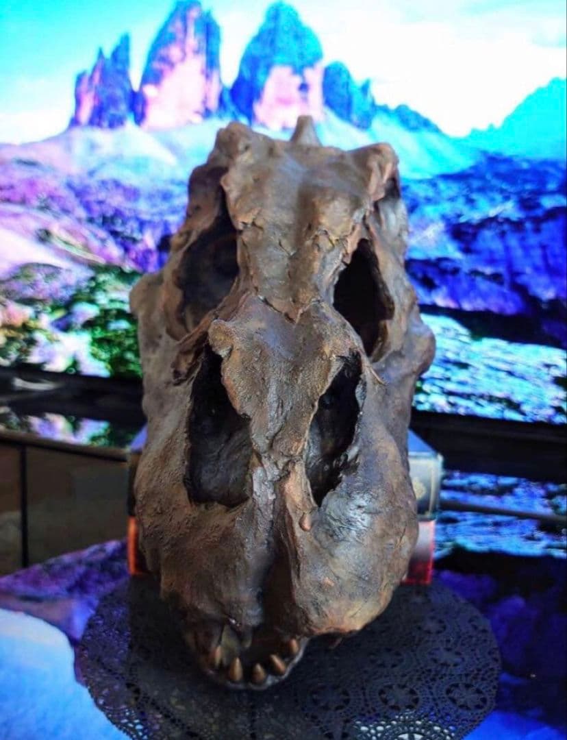 ✨お得なセット✨ ティラノサウルス トリケラトプス 化石 ジュラシックワールド