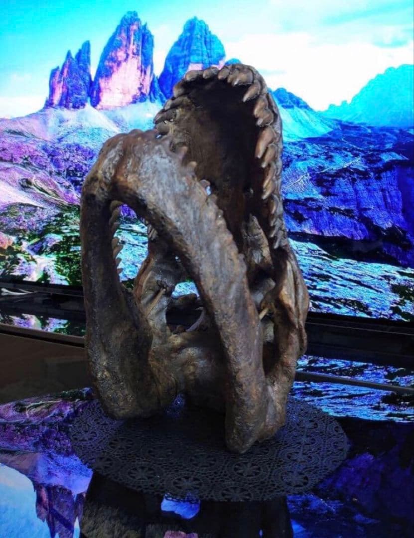 ✨お得なセット✨ ティラノサウルス トリケラトプス 化石 ジュラシックワールド