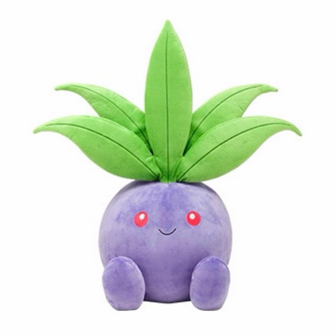 ナゾノクサ　もっちりまんまるクッション　美品タグ付き　ポケモン