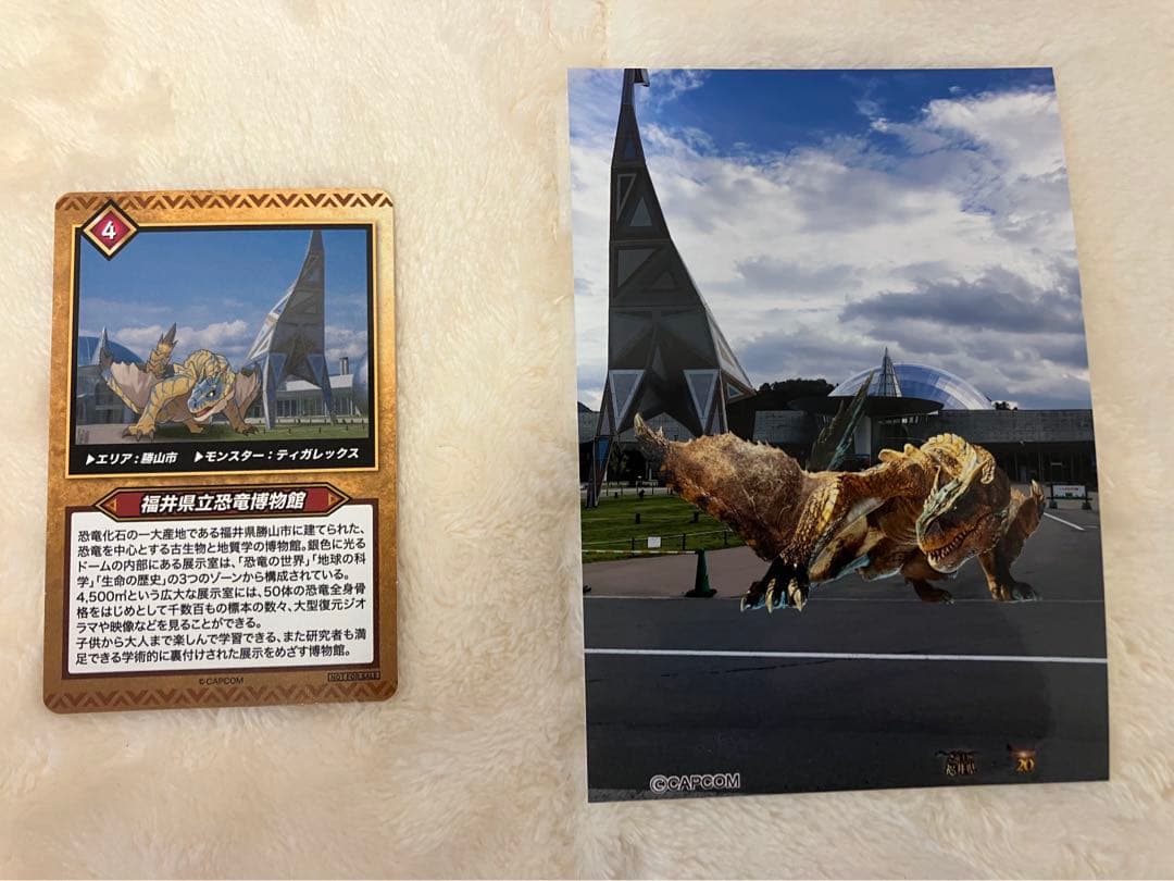 福井県モンハンコラボ　限定クリアファイルと限定トートバッグ