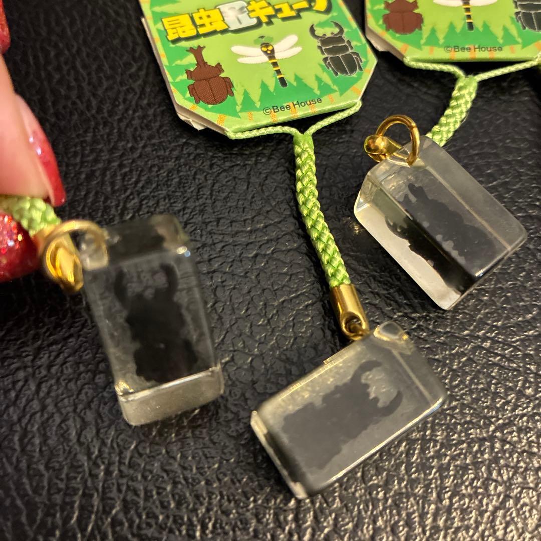 5昆虫キーホルダー 2種10個セット