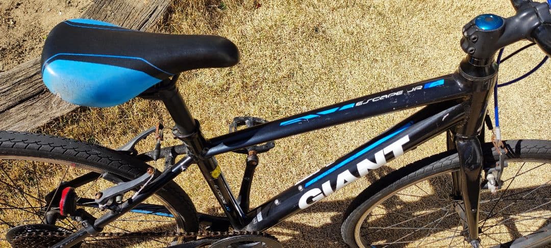 GIANT ESCAPE JR 24インチ