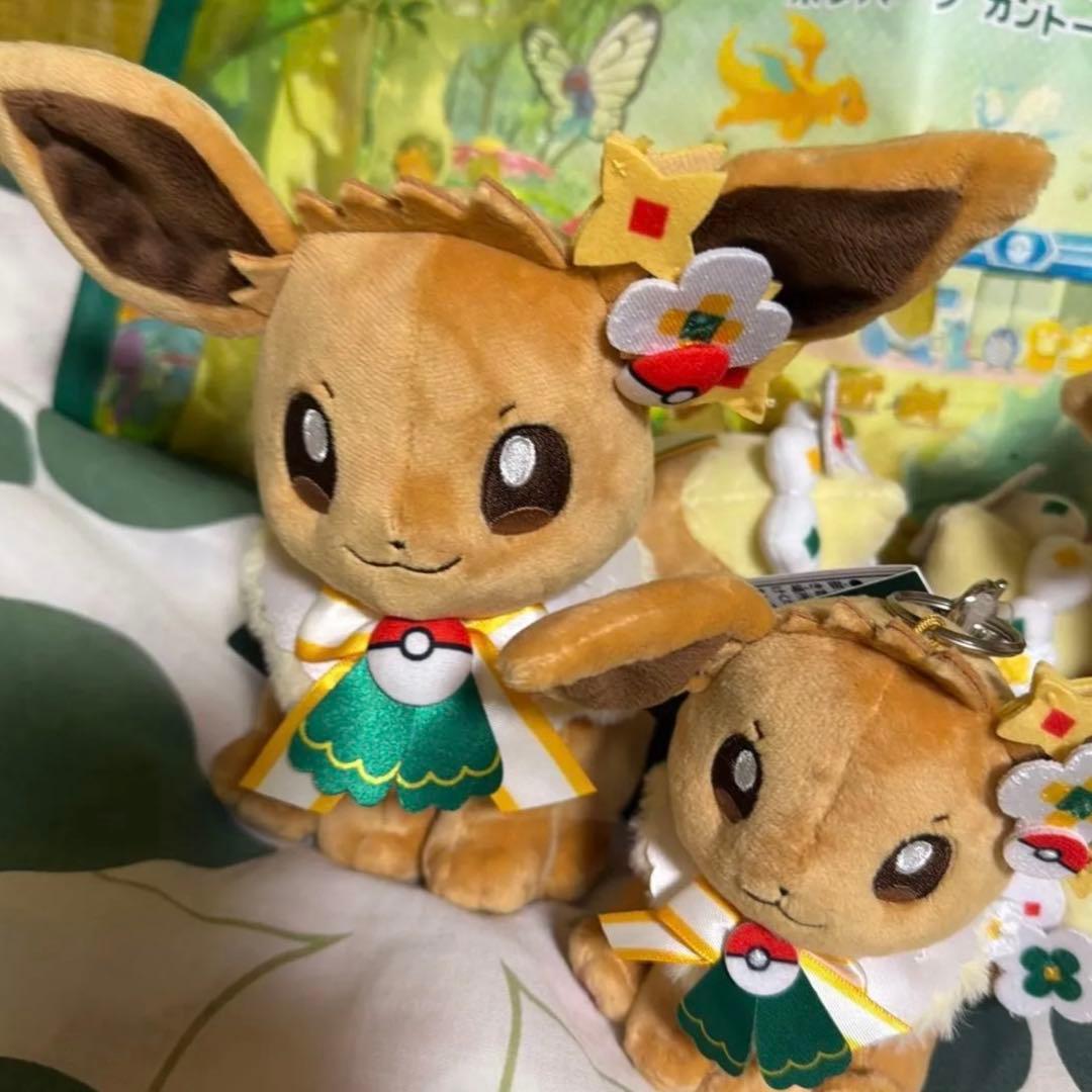 ポケパーク KANTO イーブイ ぬいぐるみ 3体セット