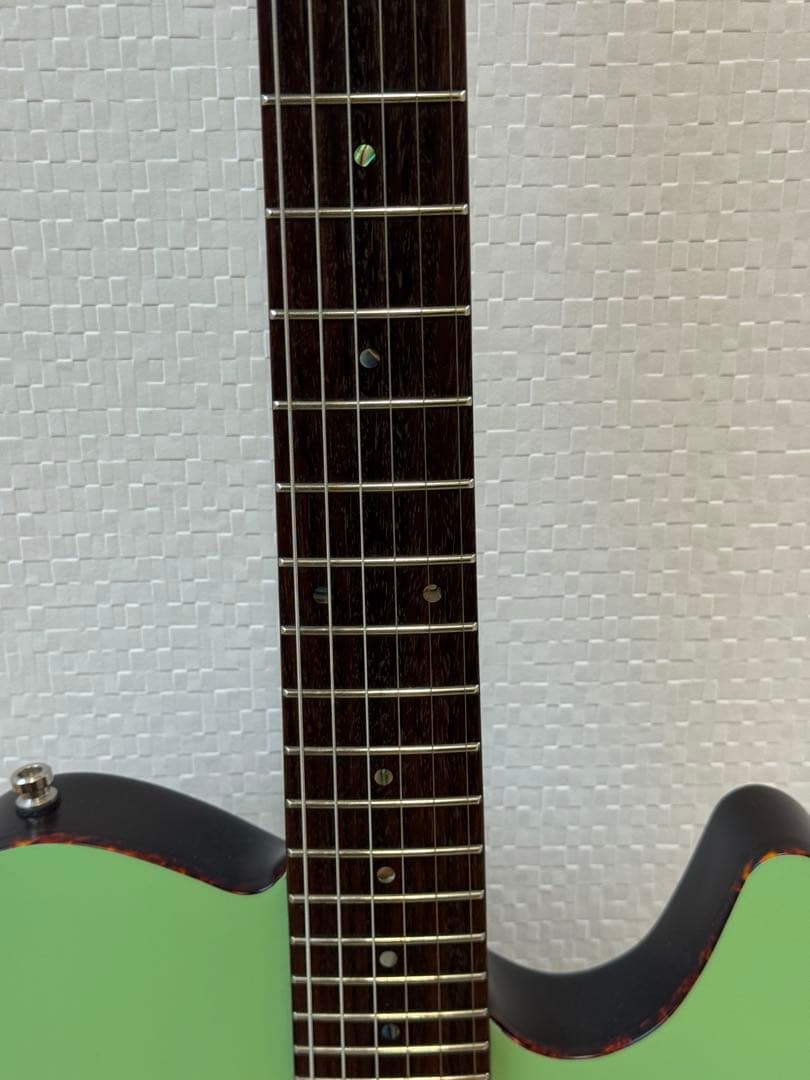 SCHECTER OL-FL SSG Oriental Line エレアコギター