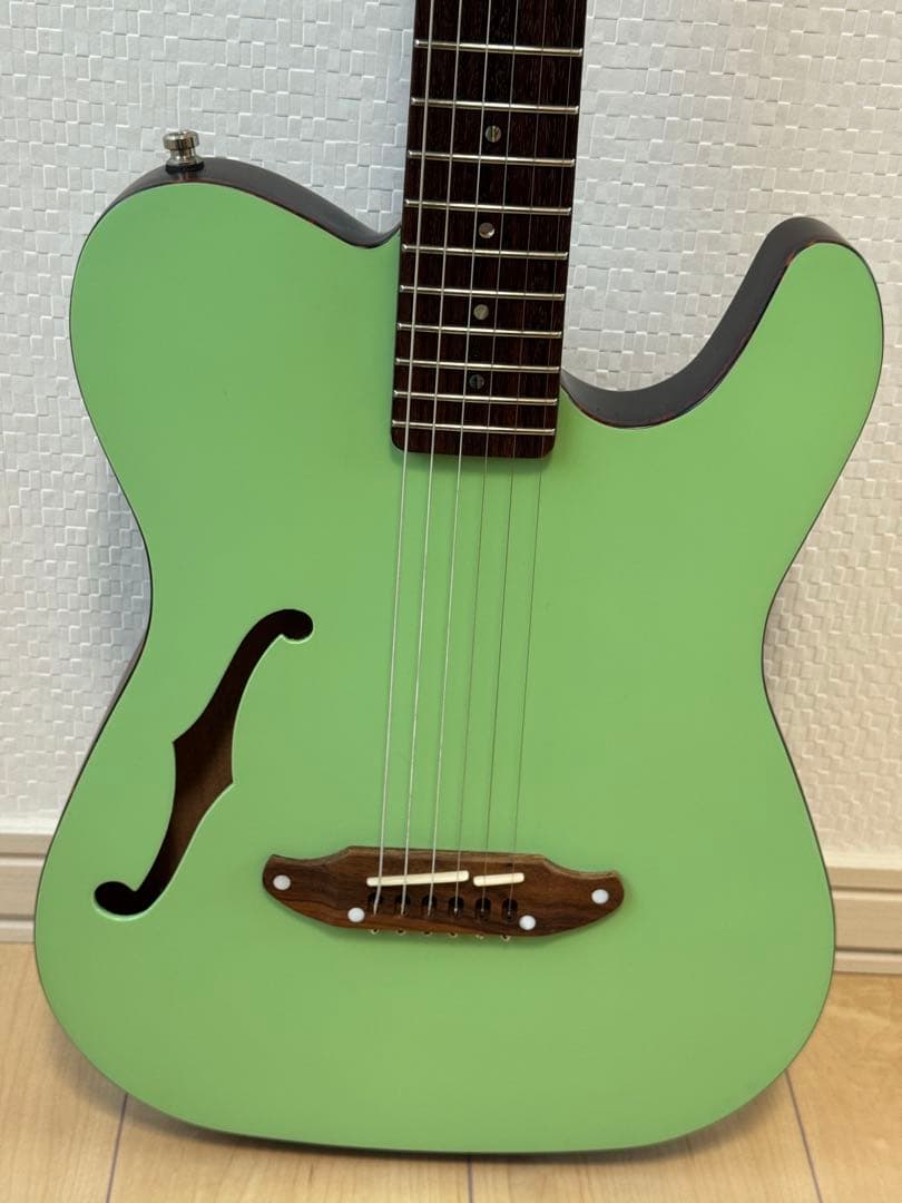 SCHECTER OL-FL SSG Oriental Line エレアコギター