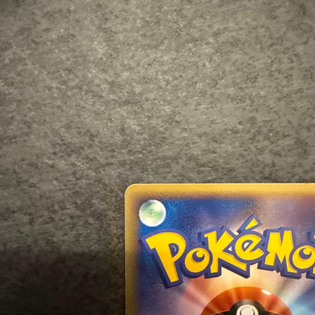 ポケモンカード ポケパークのミズゴロウ 048/PCG-P ２枚