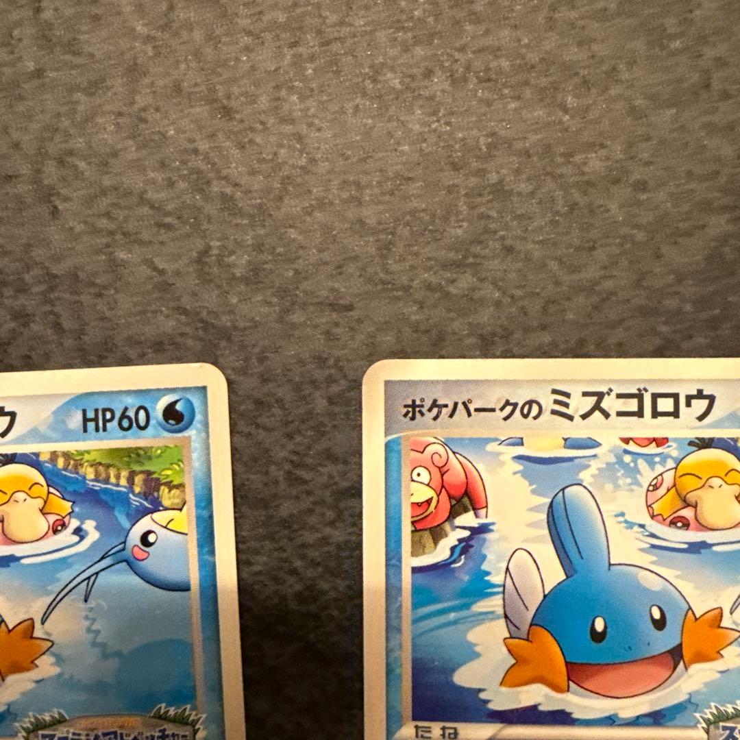 ポケモンカード ポケパークのミズゴロウ 048/PCG-P ２枚
