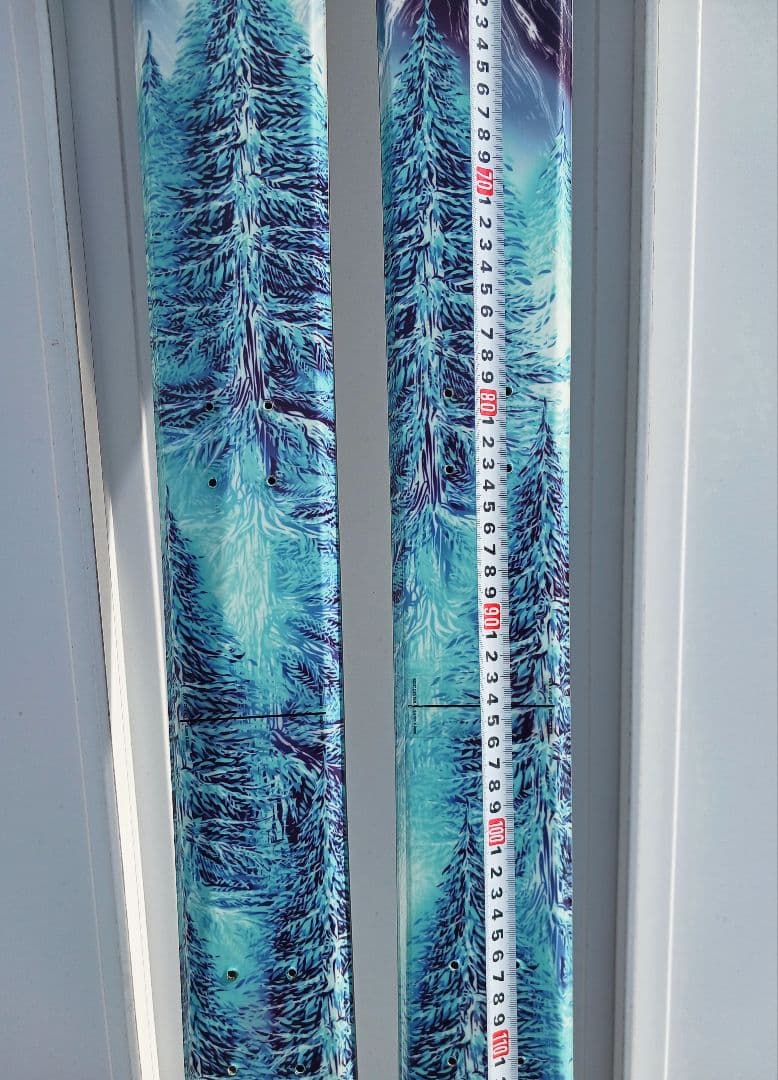 voile Vector BC スキー 170 cm　板のみ　うろこ板