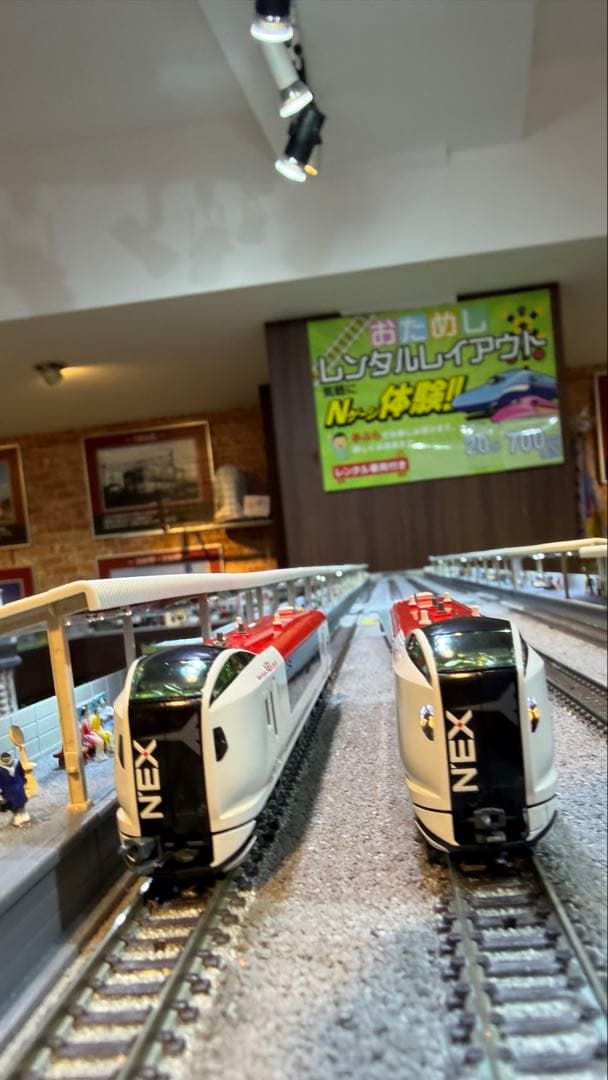 KATO E259系「成田エクスプレス」 基本セット3両＋増結セット3両