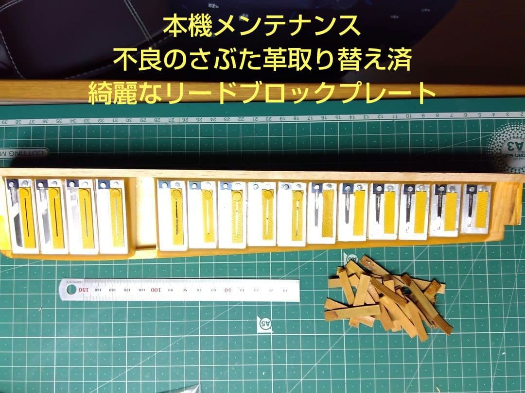 【即演奏可】TOMBO T24N アコーディオン 整備簡易調律済32鍵24ベース