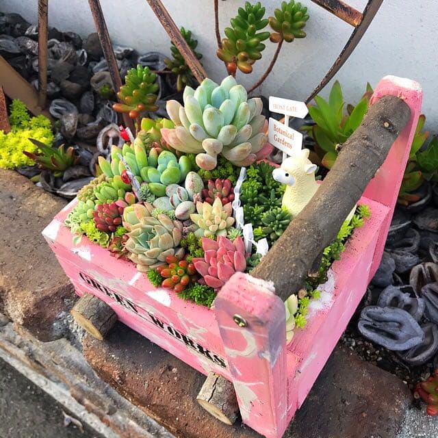 ★多肉植物　寄せ植え〜手作り　木製手押しカート　中　ピンク〜★
