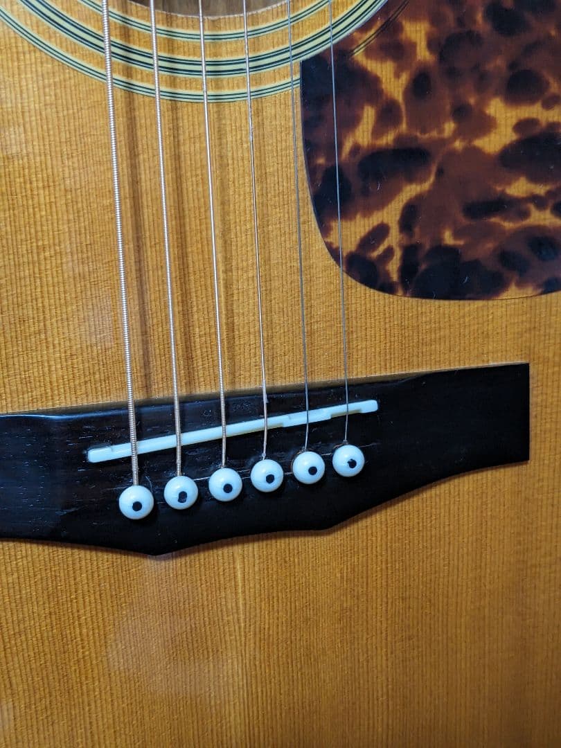 Morris F-01NAT アコースティックギター