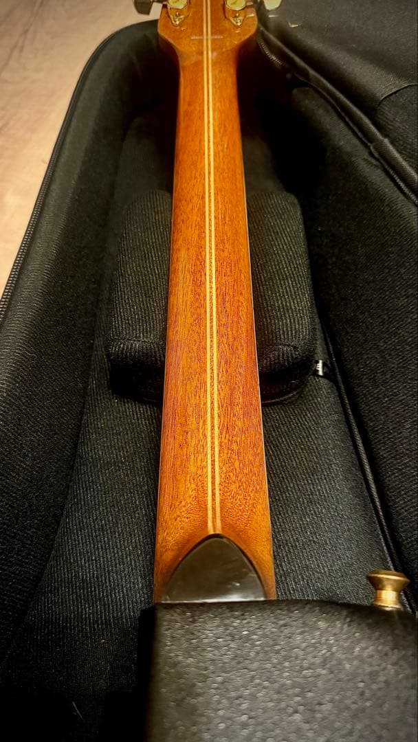 【ギグバック付き】Ovation 1788AX