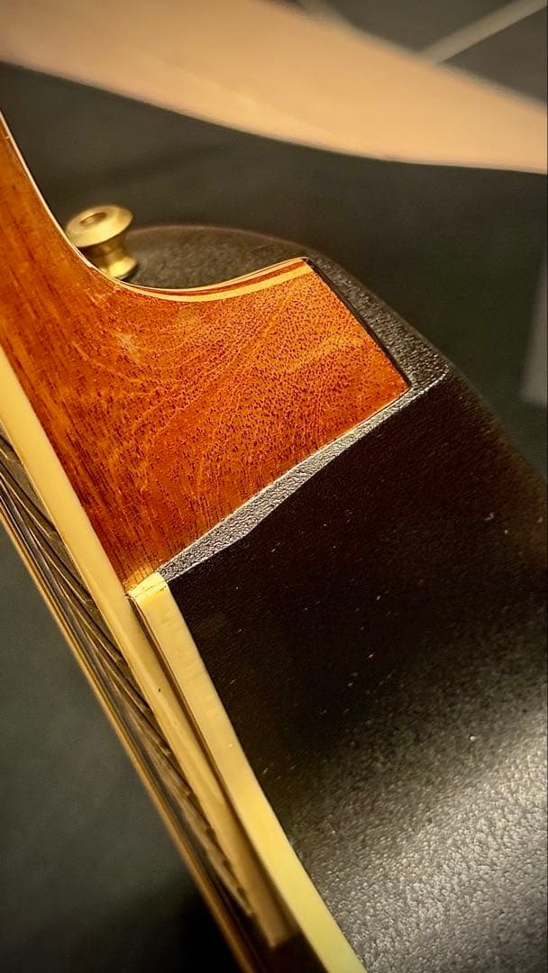 【ギグバック付き】Ovation 1788AX