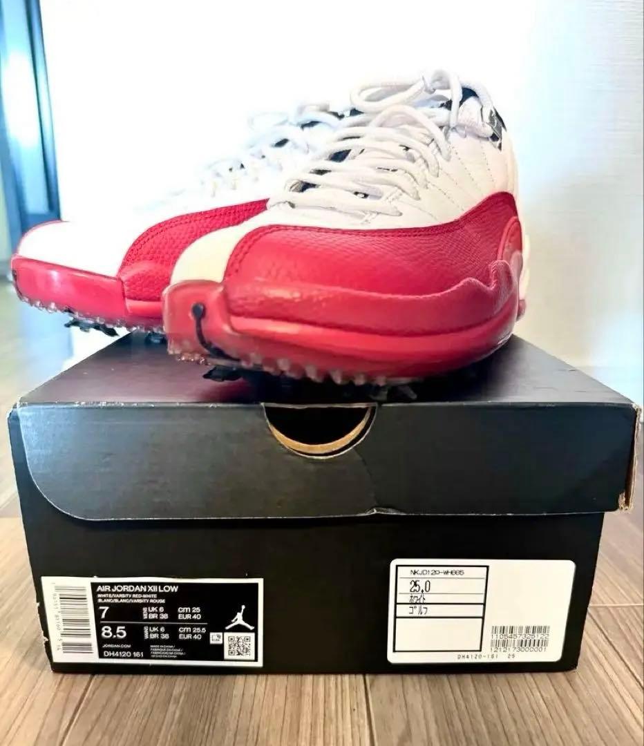 Air Jordan XⅡ Low ゴルフシューズ 8.5