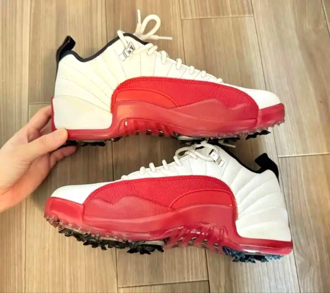 Air Jordan XⅡ Low ゴルフシューズ 8.5