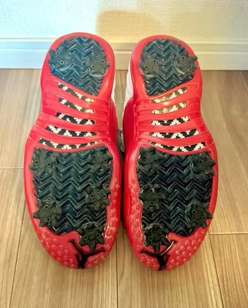 Air Jordan XⅡ Low ゴルフシューズ 8.5