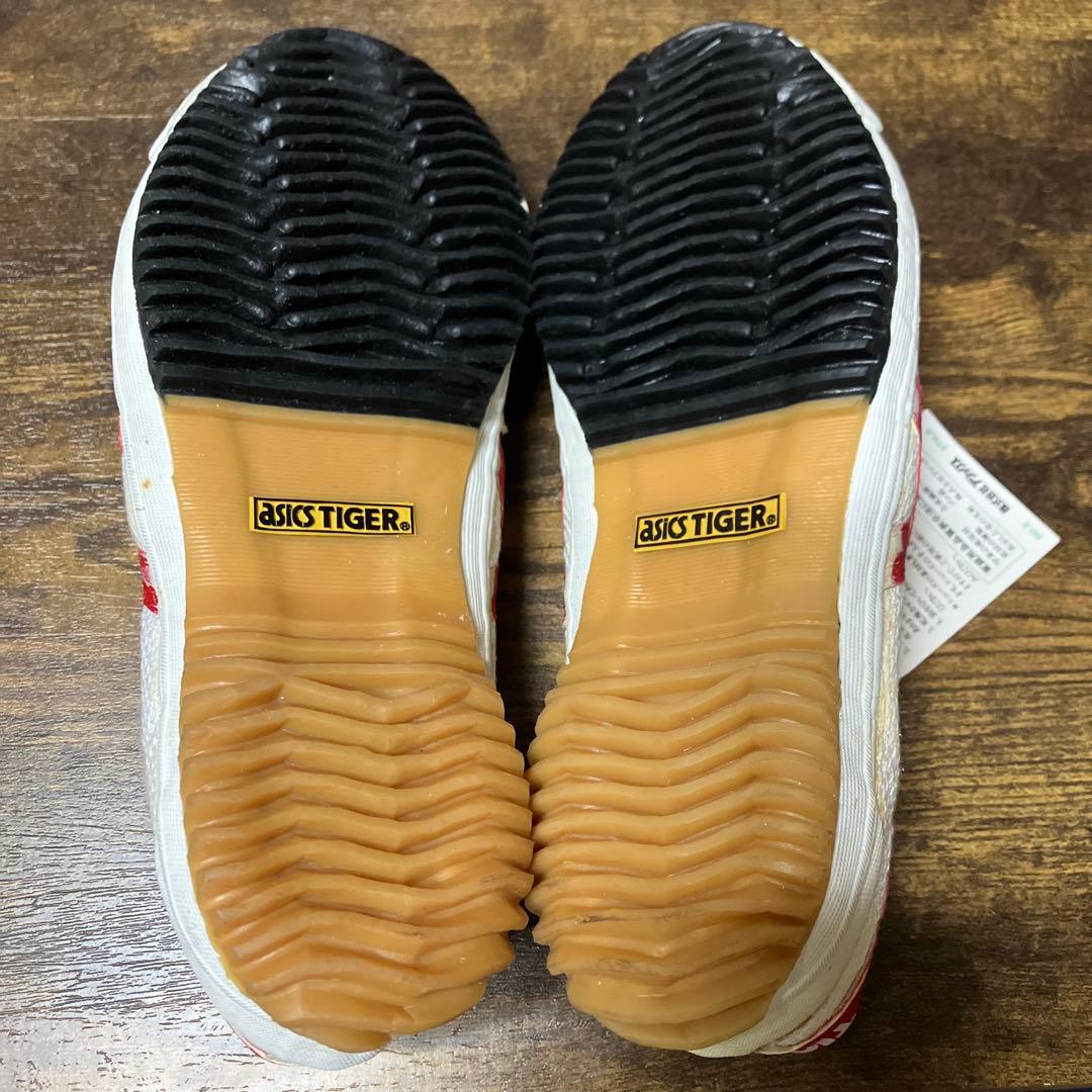 asics TIGER アシックスタイガー ローテバレーボールシューズ 24.5