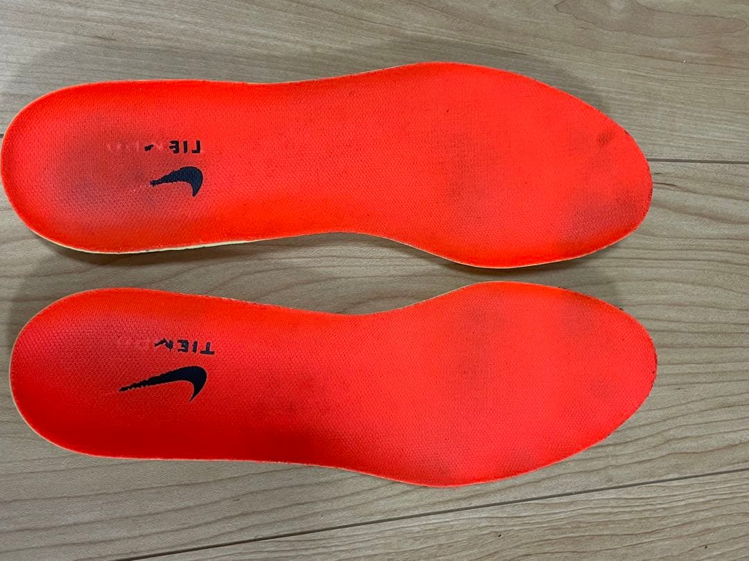 Nike ティエンポ レジェンド 10 プロ AG-PRO
