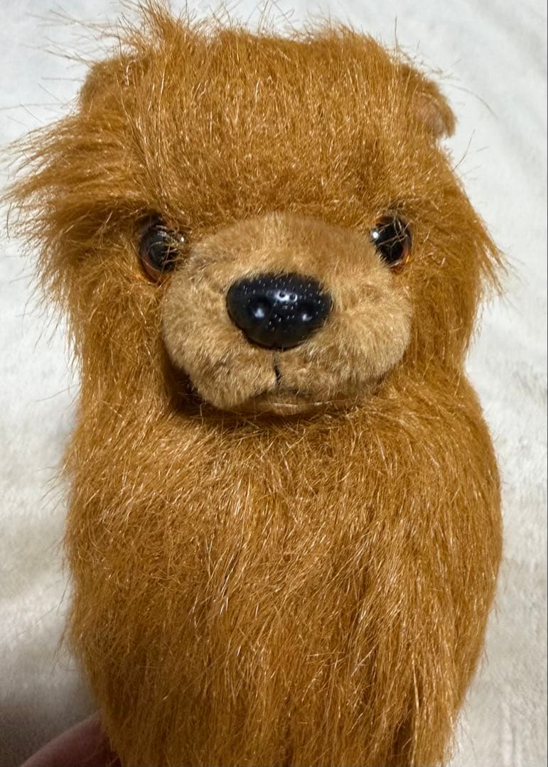 犬　ポメラニアン　ぬいぐるみ