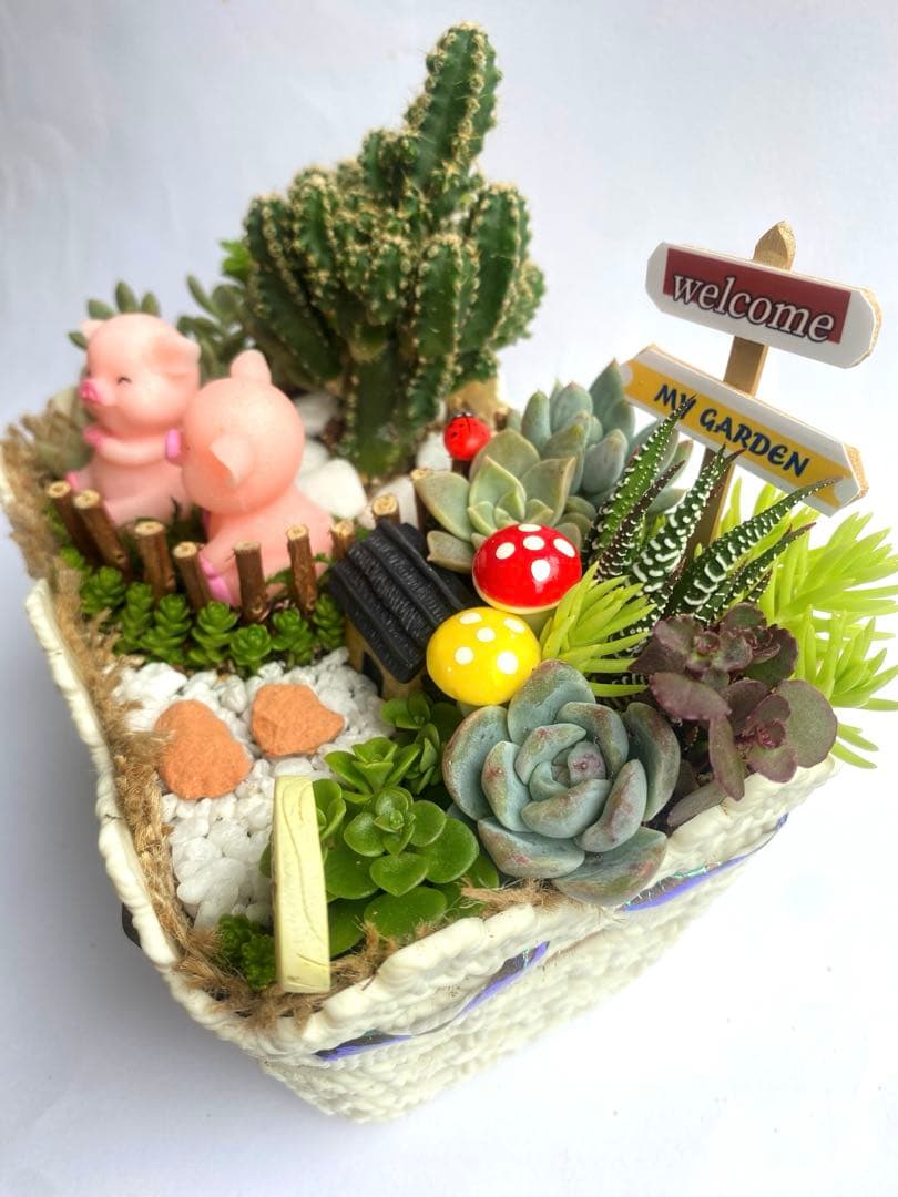 多肉寄せ植え♬箱庭♬子豚