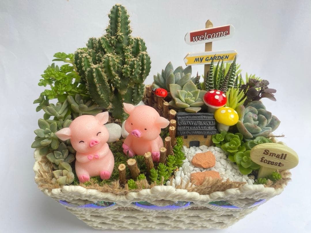 多肉寄せ植え♬箱庭♬子豚