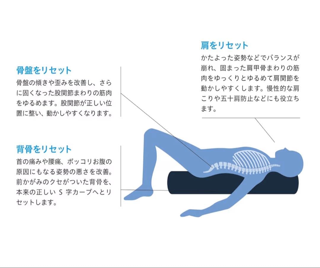 プロアスリート愛用 LPN社製ストレッチポール(R)EX