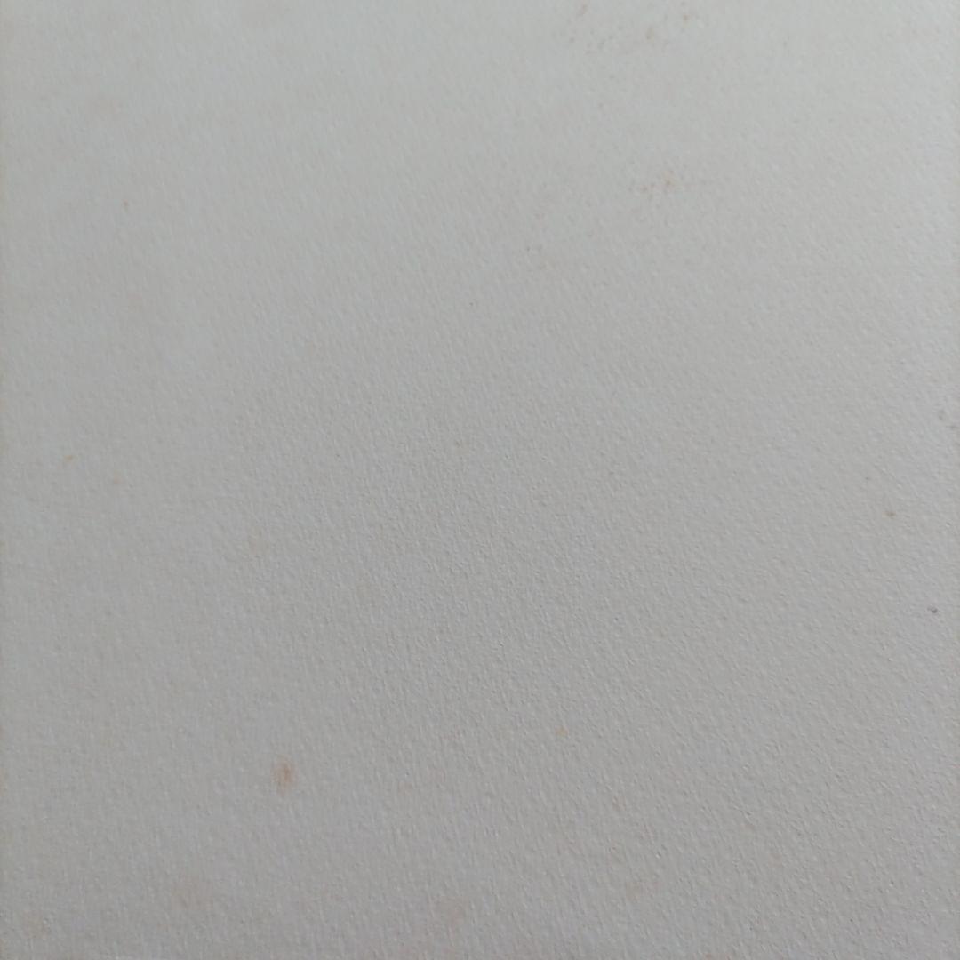 セヌリエ SENNELIER 水彩用紙 300g/m2