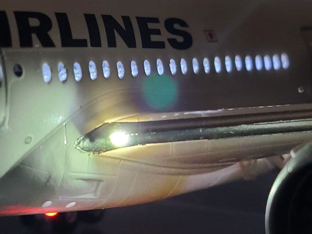 JAL BOEING 787-9 LED仕様完成品