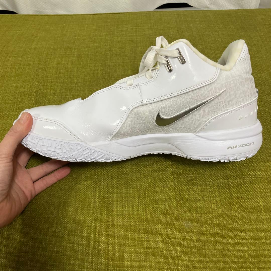 バッシュ　NIKE ナイキ LeBron NXXT