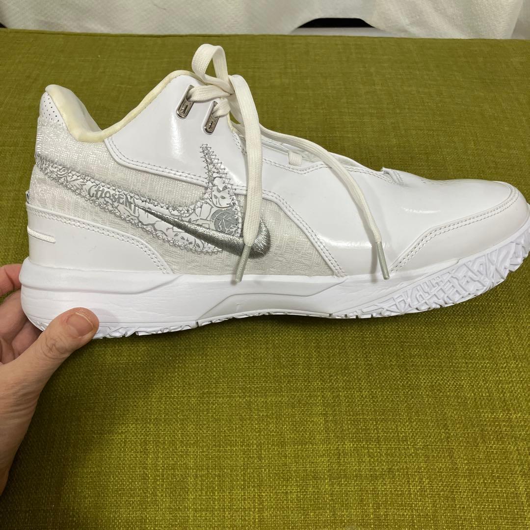 バッシュ　NIKE ナイキ LeBron NXXT