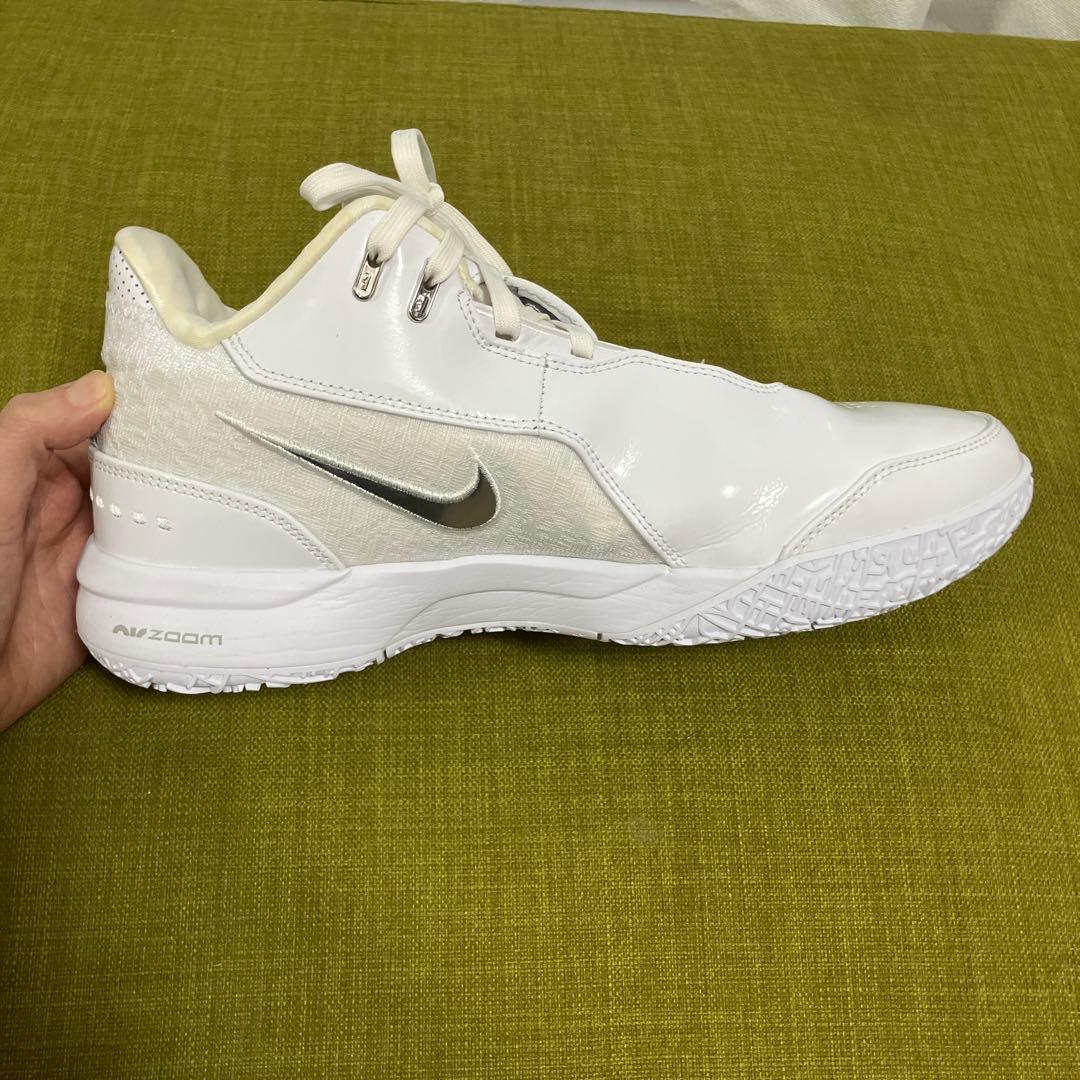 バッシュ　NIKE ナイキ LeBron NXXT