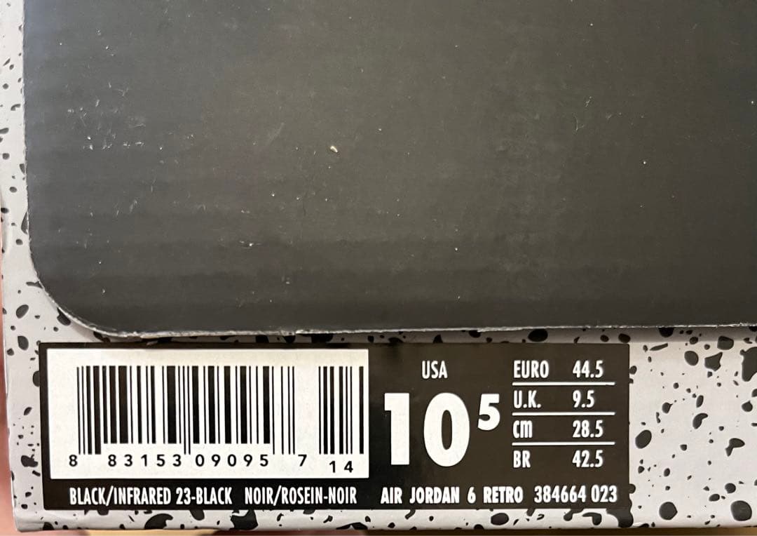 【US10.5】 AIR JORDAN 6 RETRO 384664-023