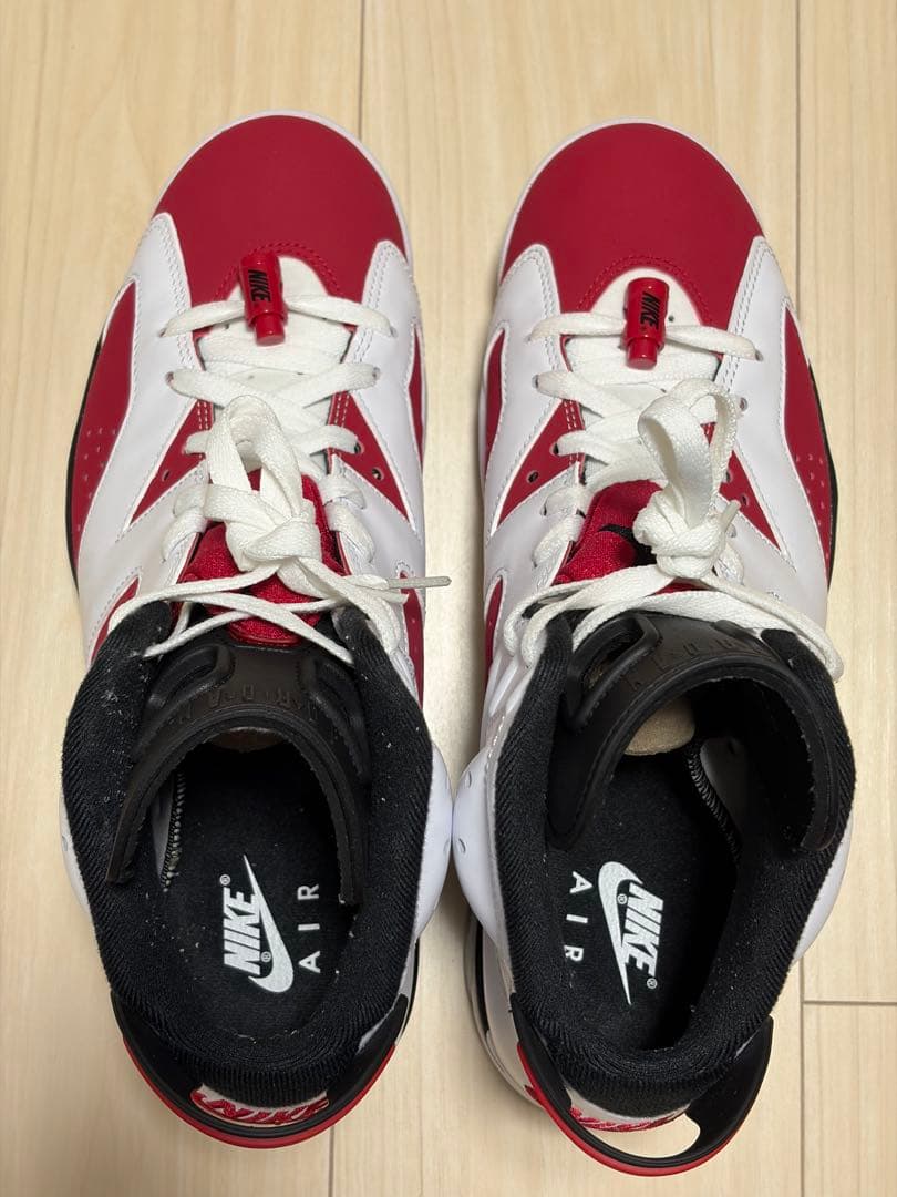 Air Jordan 6 Carmine (2021年モデル)