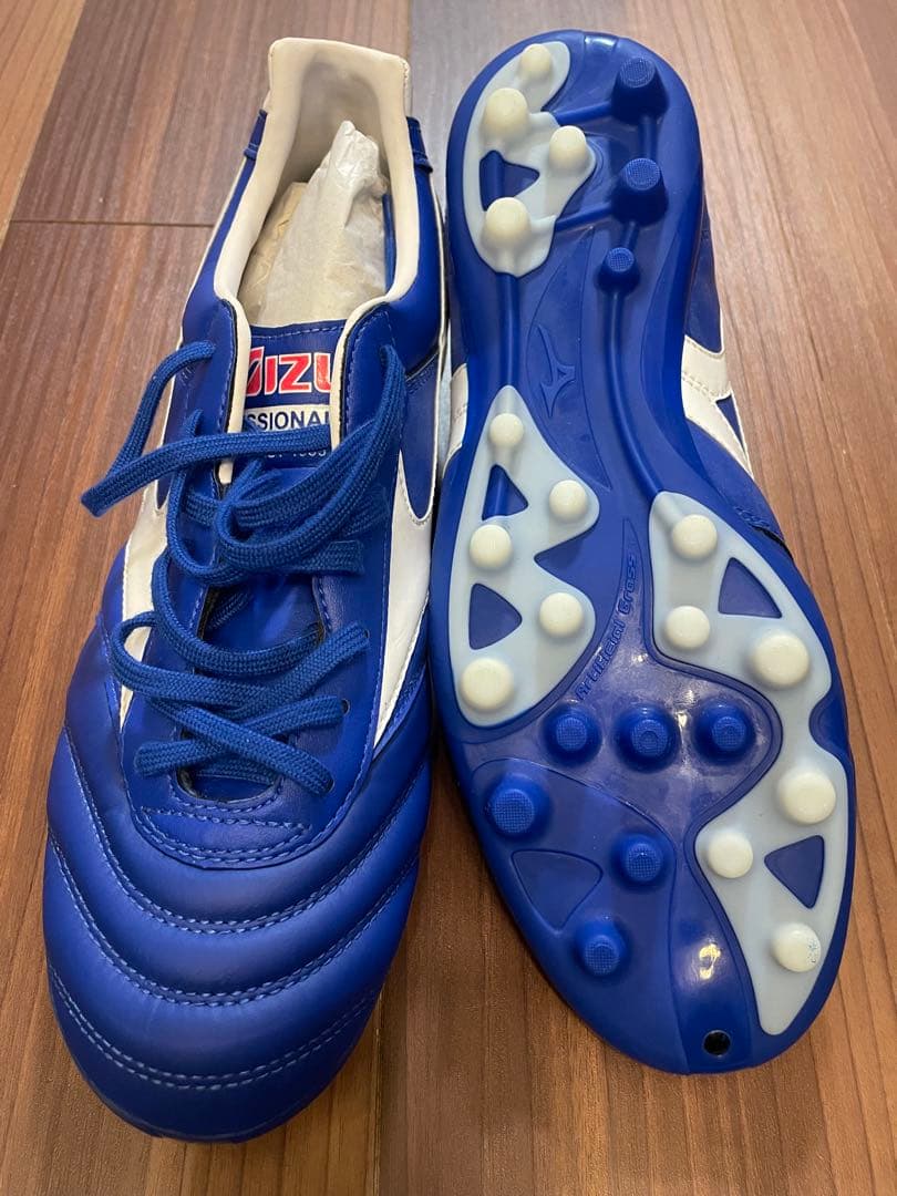 MORELIA Ⅱ PRO AG