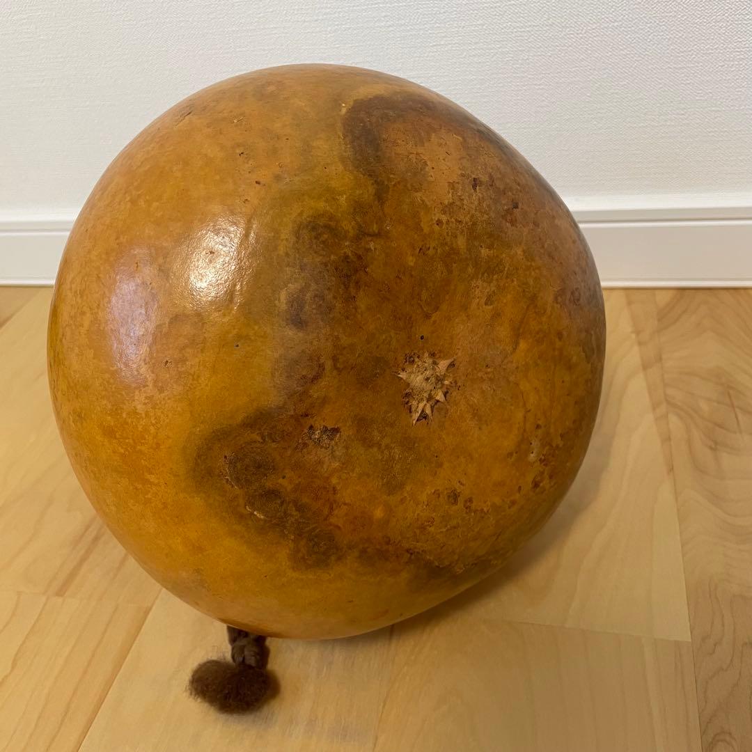 フラダンス イプ 楽器