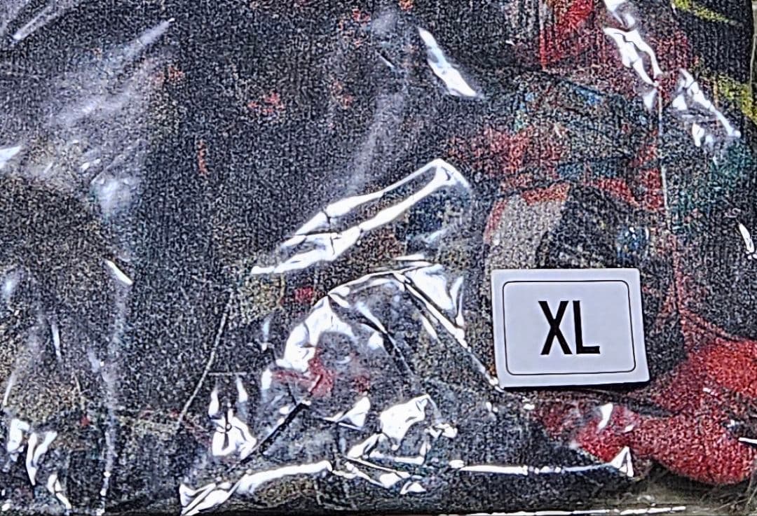 ELLEGARDEN ロングスリーブTシャツ ブラック XL
