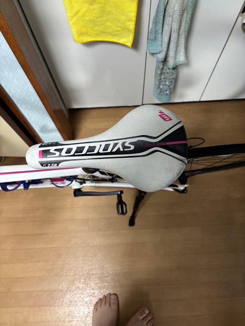 こーさん限定現地引取限定スコット Contessa SPEEDSTER 35.1